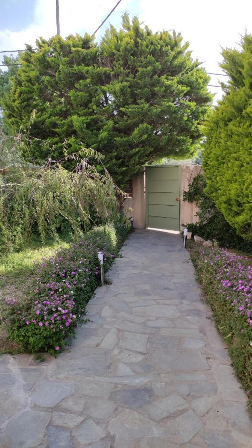 Villa Katerina Ialysos  Exterior foto